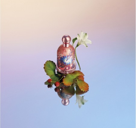 HALLOWEEN Perfumes|HALLOWEEN Blossom HALLOWEEN Perfumes|HALLOWEEN Blossom