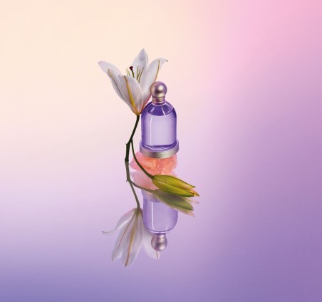 HALLOWEEN Perfumes|HALLOWEEN Eau de Toilette HALLOWEEN Perfumes|HALLOWEEN Eau de Toilette