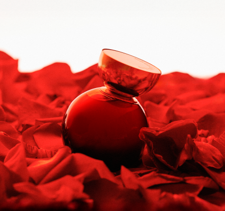 HALLOWEEN Perfumes|HALLOWEEN My Wish Addiction