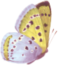Ejemplo 4